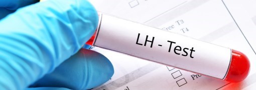 בדיקת Luteinizing Hormone) LH) - תמונה